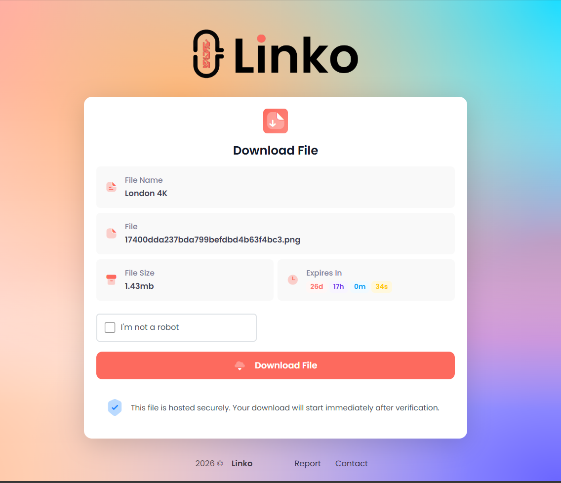 File preview before download